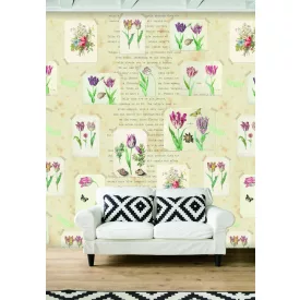 Behang / Color Choc tapéta