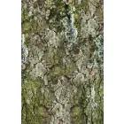 Behang / New Materials tapéta