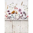 Behang / Colorful tapéta