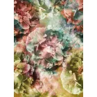 Behang / Colorful tapéta