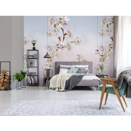 Behang / Colorful tapéta