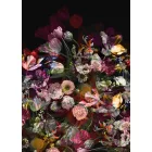 Behang / Colorful tapéta