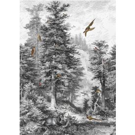 Behang / Light&Dark tapéta