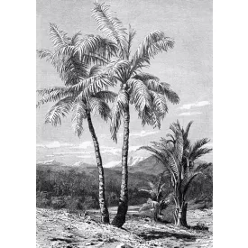 Behang / Light&Dark tapéta