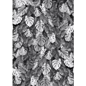 Behang / Light&Dark tapéta