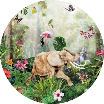 Behang / Sofie&Junar tapéta kör