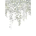 Casadeco / Jardins Suspendus tapéta