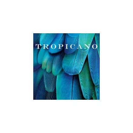 Adawall / Tropicano Tapétakönyv