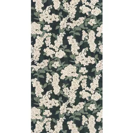 Casadeco / Kyoto tapéta