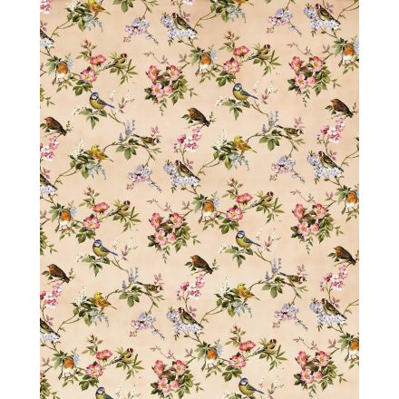 Komar / Le Jardin poszter