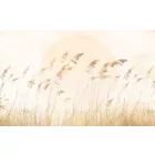 Komar / Le Jardin poszter