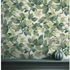 Fine Decor /  Ashdown tapéta