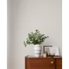 Fine Decor /  Ashdown tapéta