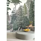 Casadeco / Mediterranee tapéta