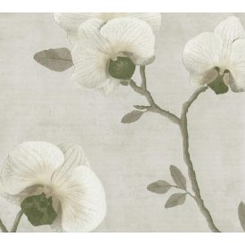 Sketchtwenty3 / Malibu tapéta