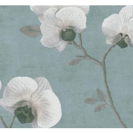 Sketchtwenty3 / Malibu tapéta