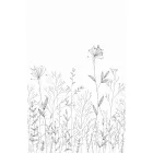 Caselio / Moonlight 3 tapéta