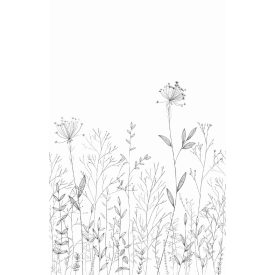 Caselio / Moonlight 3 tapéta