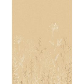 Caselio / Moonlight 3 tapéta