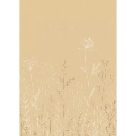 Caselio / Moonlight 3 tapéta