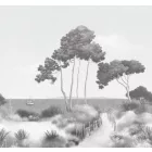 Caselio / Moonlight 3 tapéta