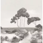 Caselio / Moonlight 3 tapéta