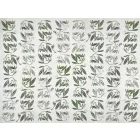 RIMURA / Main Collection