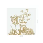 KEK Amsterdam / MW - Metallic panel