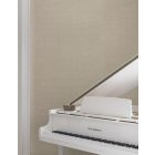 York / Astoria tapéta