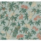 York / Astoria tapéta