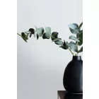 Caselio / Natté 2 tapéta