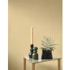 Casadeco / Nest tapéta