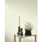 Casadeco / Nest tapéta