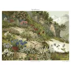 Behang / Natural History tapéta