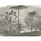 Behang / Natural History tapéta