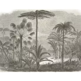 Behang / Natural History tapéta