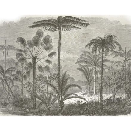 Behang / Natural History tapéta