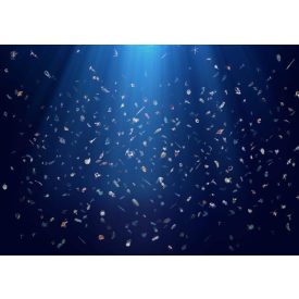 Behang / Natural History tapéta