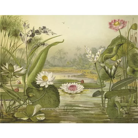 Behang / Natural History tapéta