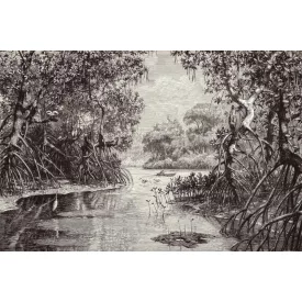 Behang / Natural History tapéta