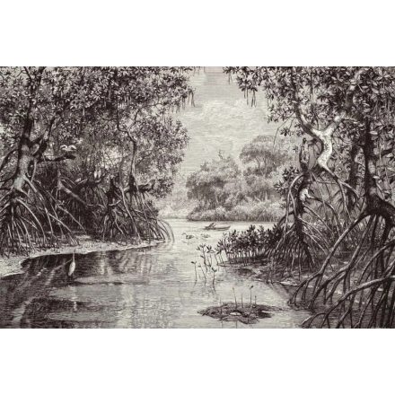 Behang / Natural History tapéta