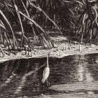 Behang / Natural History tapéta