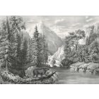 Behang / Natural History tapéta