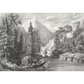 Behang / Natural History tapéta