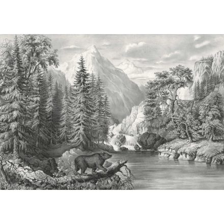 Behang / Natural History tapéta