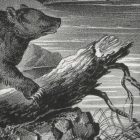 Behang / Natural History tapéta