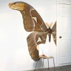 Behang / Natural History tapéta