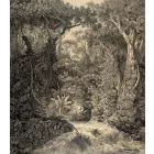 Behang / Natural History tapéta