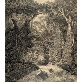 Behang / Natural History tapéta