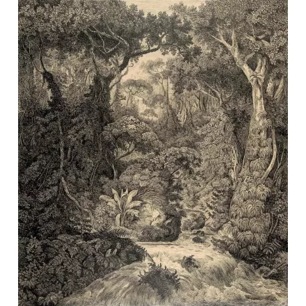 Behang / Natural History tapéta